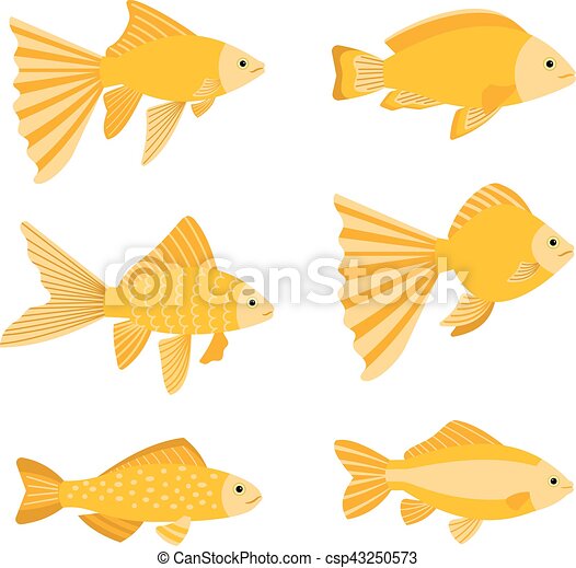 Detail Pictures Of Gold Fishes Nomer 38