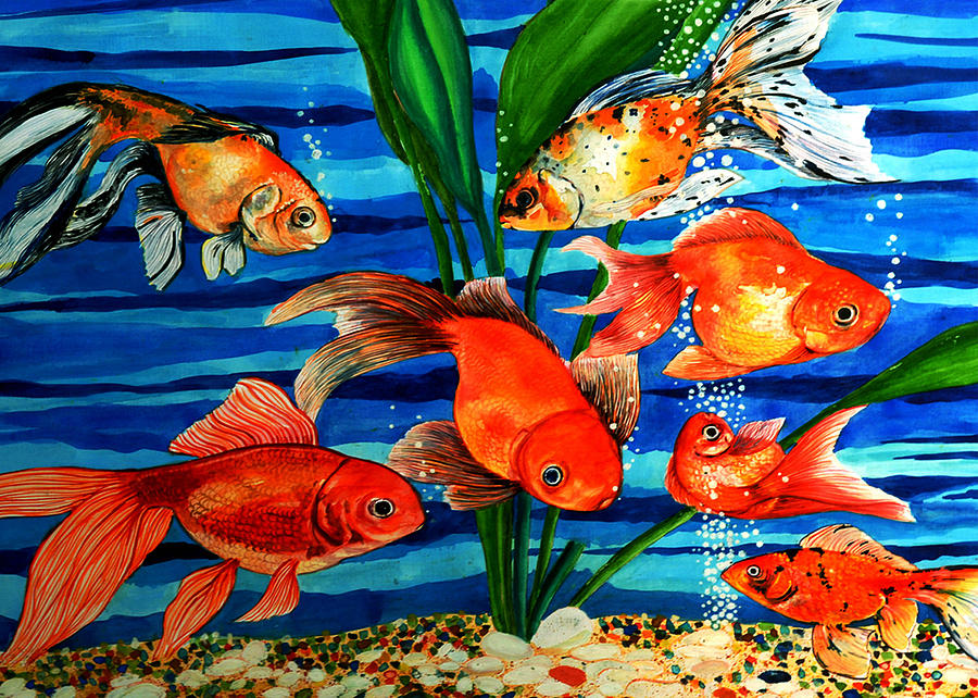 Detail Pictures Of Gold Fishes Nomer 47