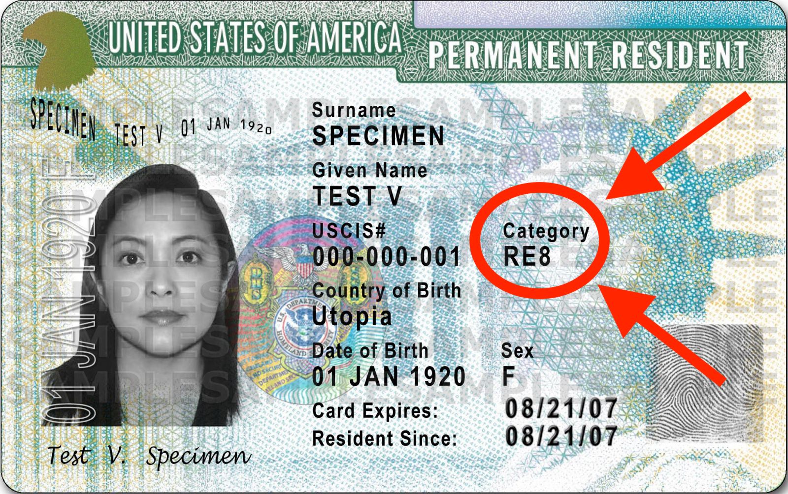 Detail Pictures Of Green Cards Nomer 8