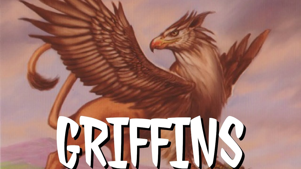 Detail Pictures Of Griffins Nomer 26