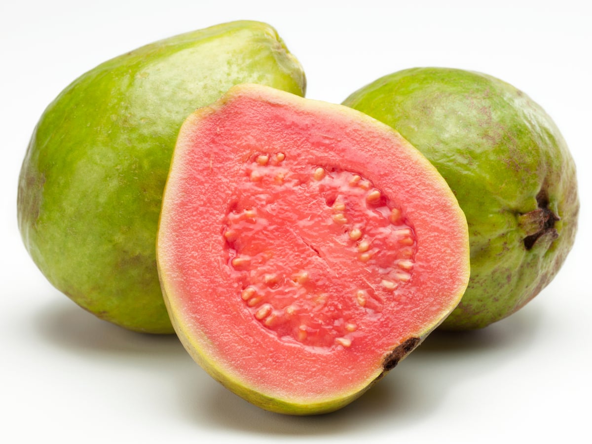 Pictures Of Guava Fruit - KibrisPDR