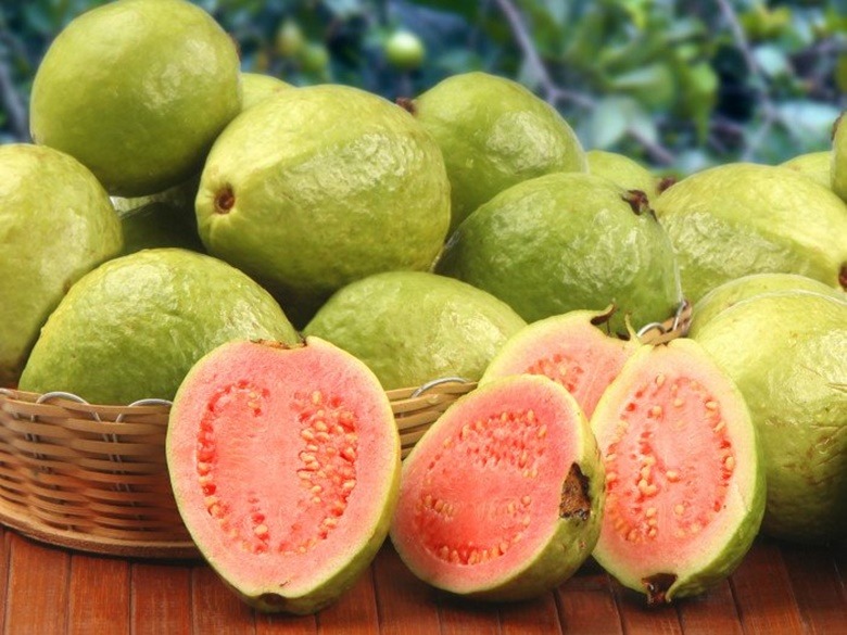 Detail Pictures Of Guava Fruit Nomer 12