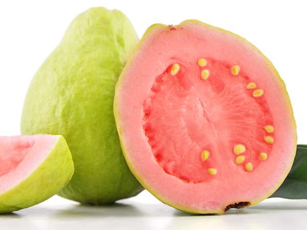 Detail Pictures Of Guava Fruit Nomer 20