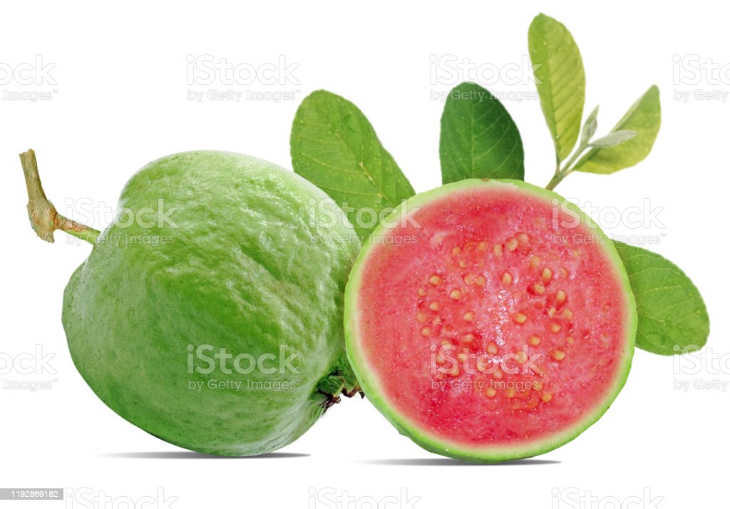 Detail Pictures Of Guava Fruit Nomer 7