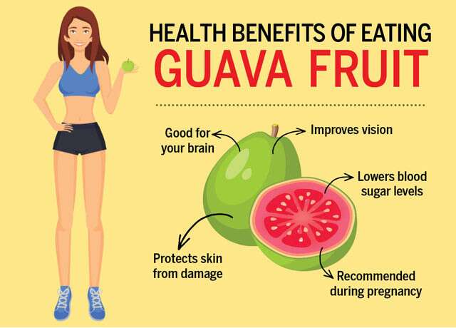 Detail Pictures Of Guava Fruit Nomer 9