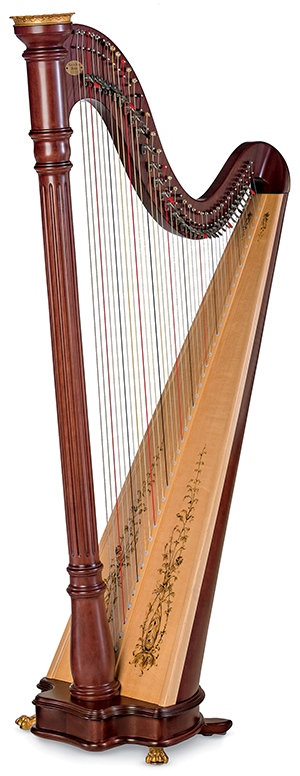 Detail Pictures Of Harps Nomer 19