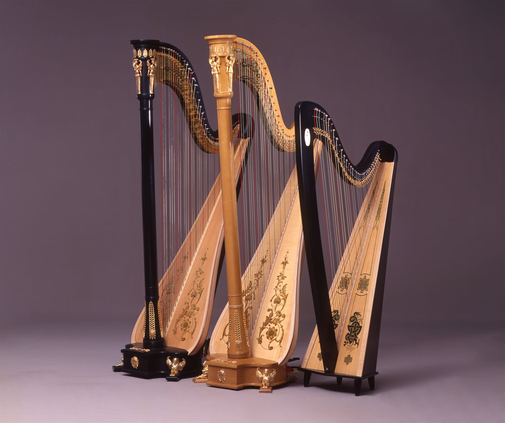 Detail Pictures Of Harps Nomer 24