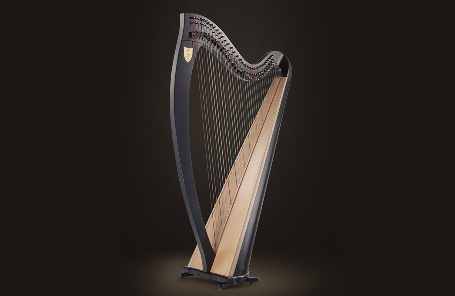 Detail Pictures Of Harps Nomer 29