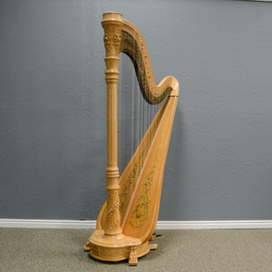 Detail Pictures Of Harps Nomer 31