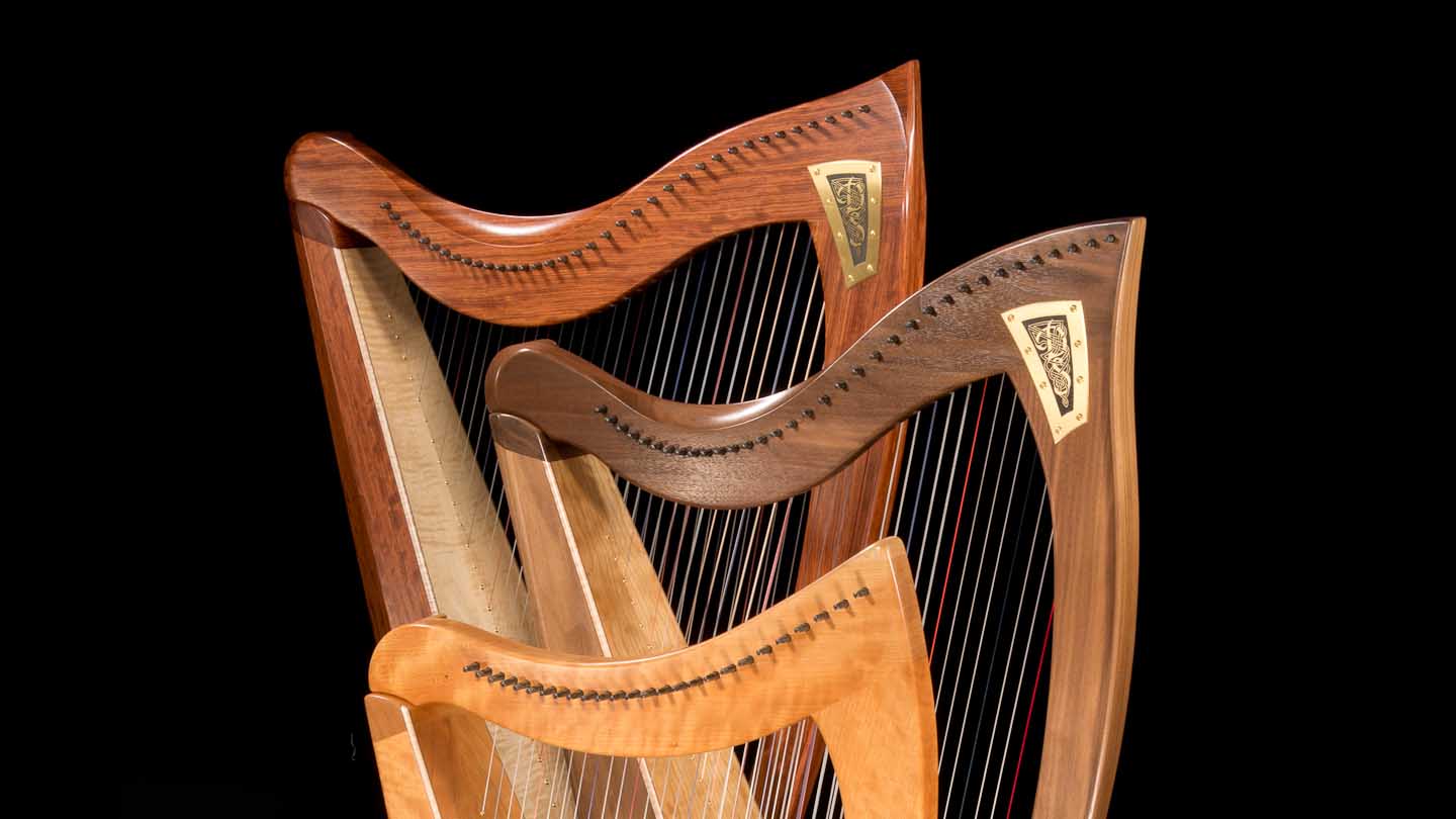 Detail Pictures Of Harps Nomer 32