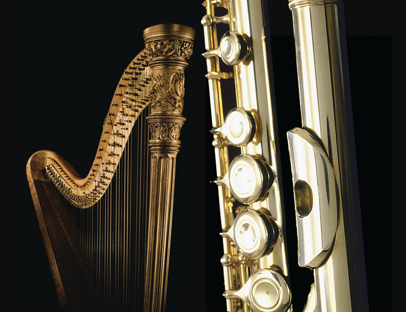 Detail Pictures Of Harps Nomer 33