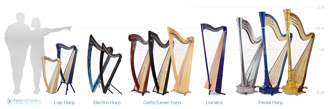 Detail Pictures Of Harps Nomer 34