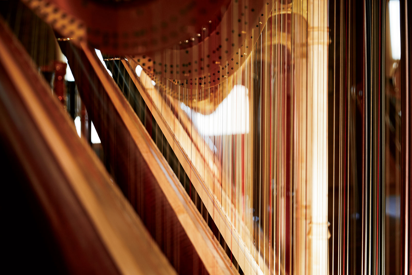 Detail Pictures Of Harps Nomer 39