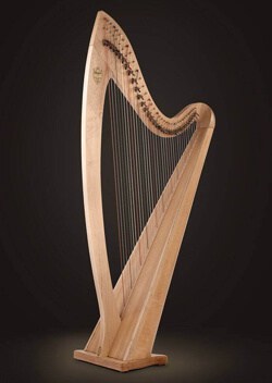 Detail Pictures Of Harps Nomer 40