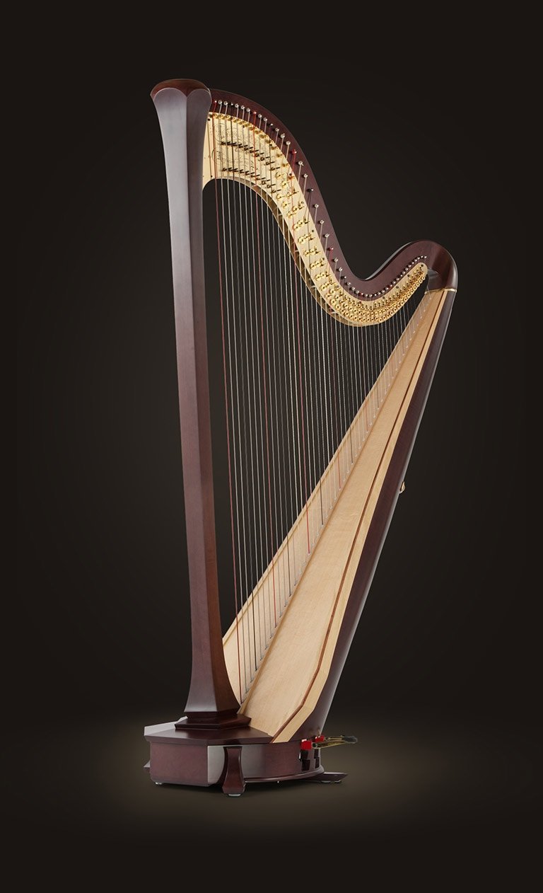 Detail Pictures Of Harps Nomer 44