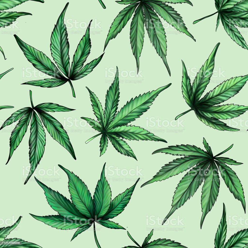 Detail Pictures Of Hemp Leaves Nomer 17