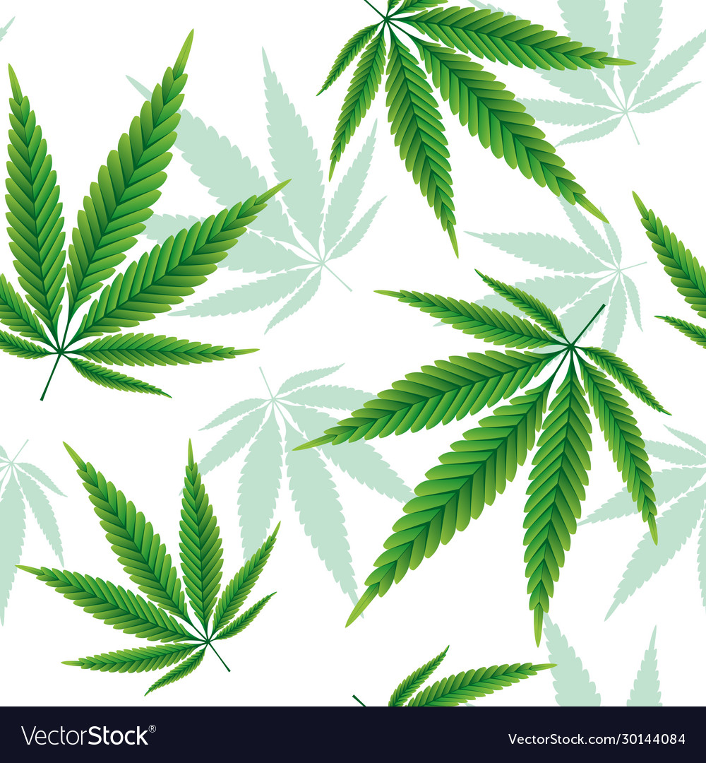 Detail Pictures Of Hemp Leaves Nomer 22