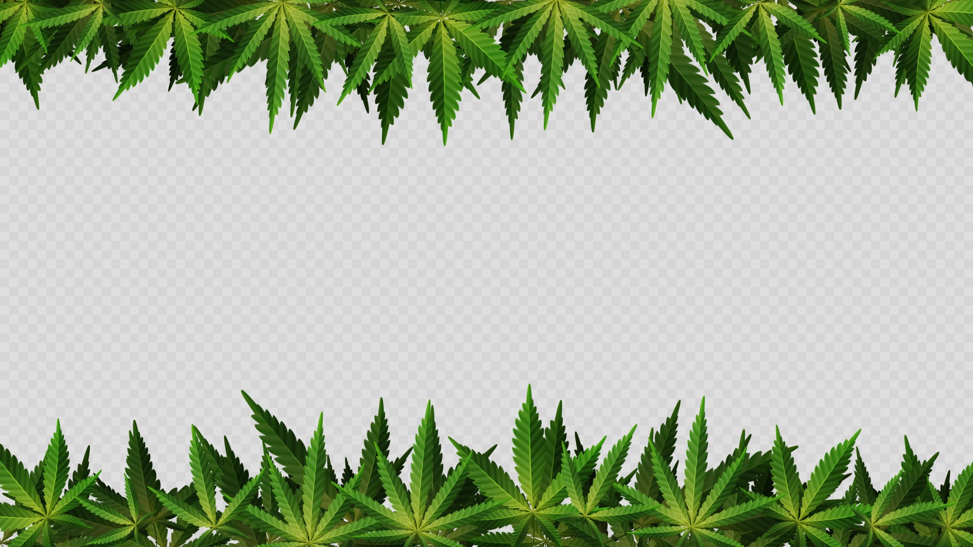 Detail Pictures Of Hemp Leaves Nomer 36