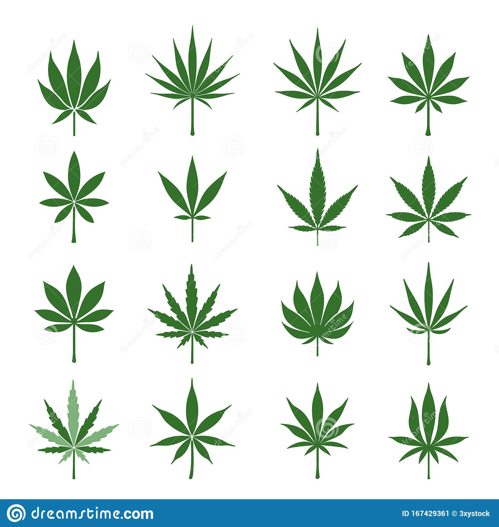 Detail Pictures Of Hemp Leaves Nomer 5