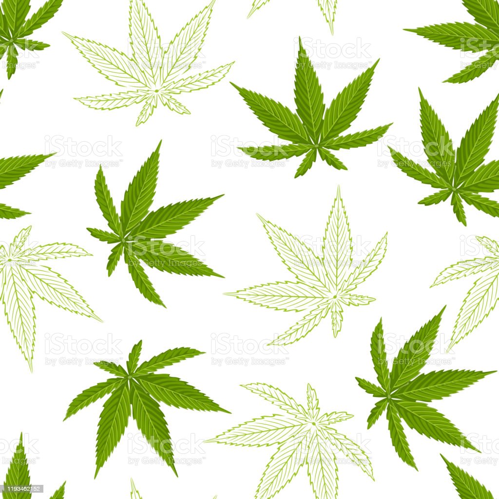 Detail Pictures Of Hemp Leaves Nomer 6