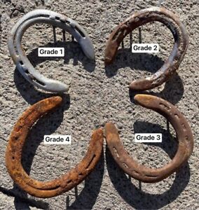 Detail Pictures Of Horse Shoes Nomer 51