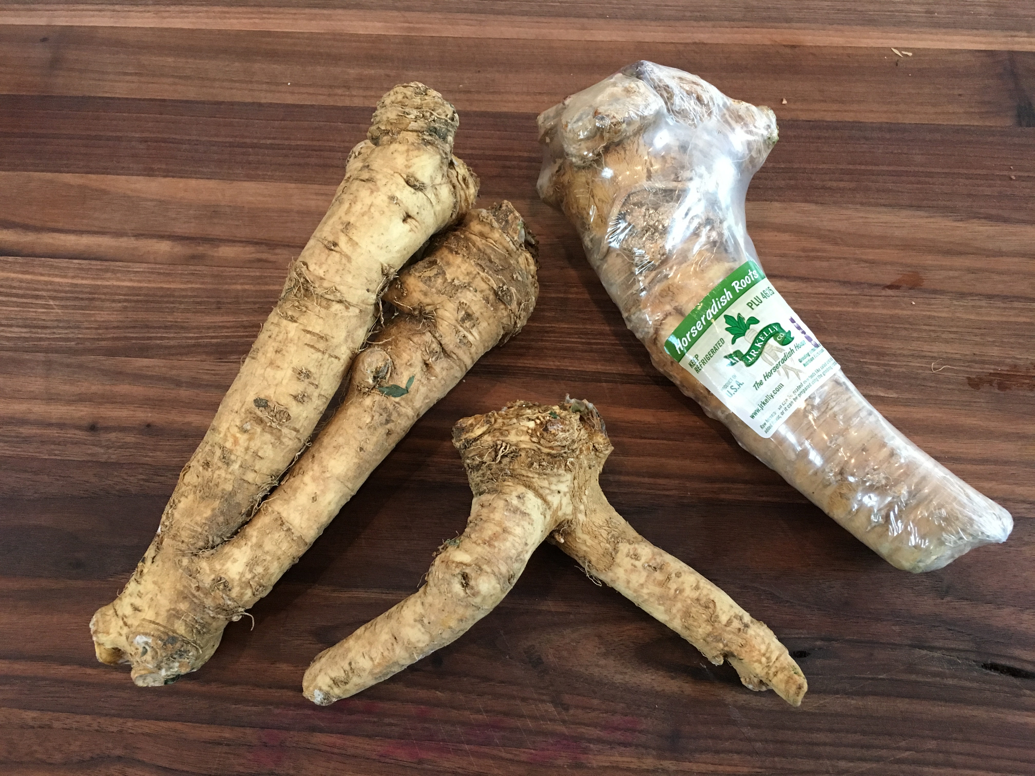 Detail Pictures Of Horseradish Root Nomer 9