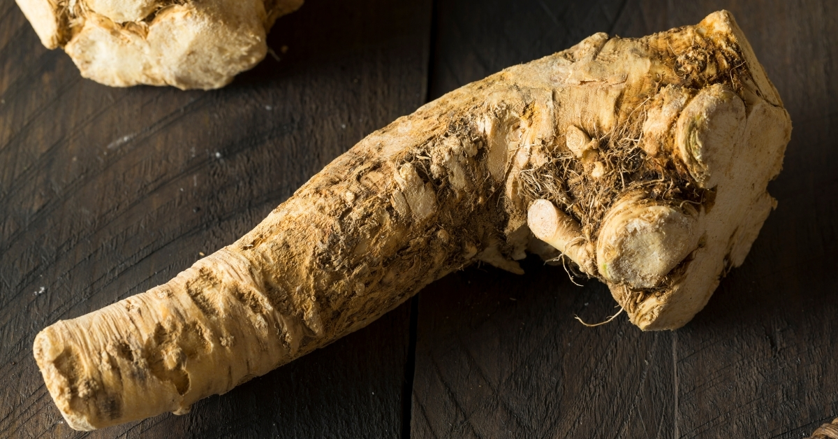 Detail Pictures Of Horseradish Root Nomer 16
