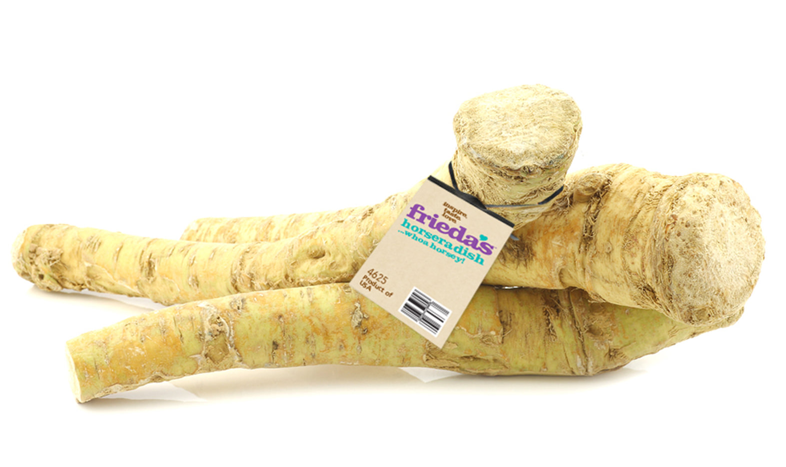 Detail Pictures Of Horseradish Root Nomer 17