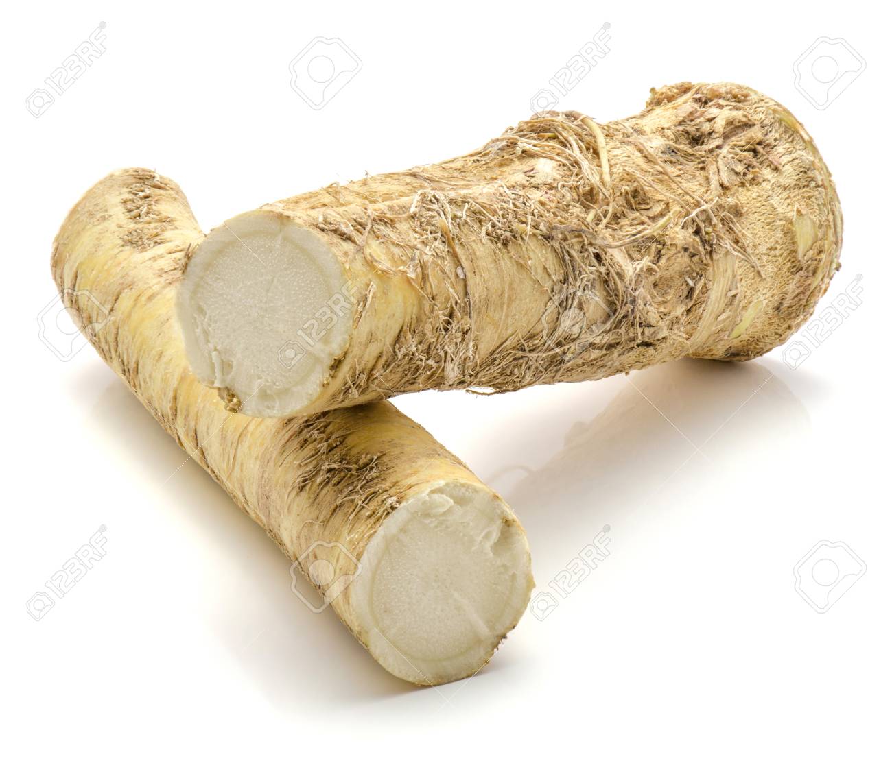 Detail Pictures Of Horseradish Root Nomer 20