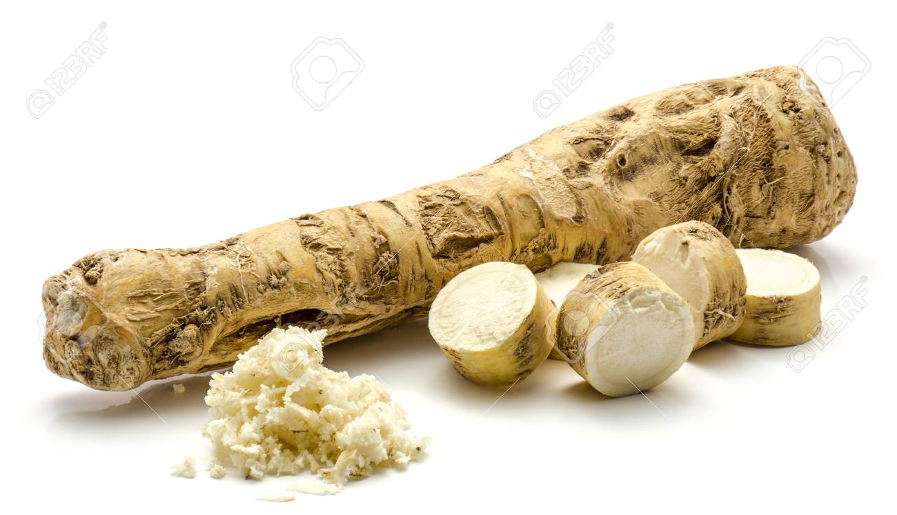 Detail Pictures Of Horseradish Root Nomer 21