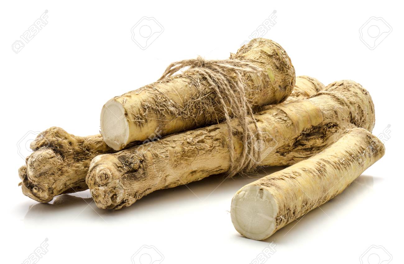 Detail Pictures Of Horseradish Root Nomer 22