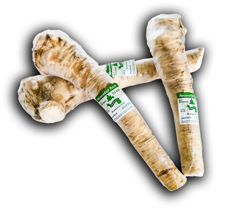 Detail Pictures Of Horseradish Root Nomer 46