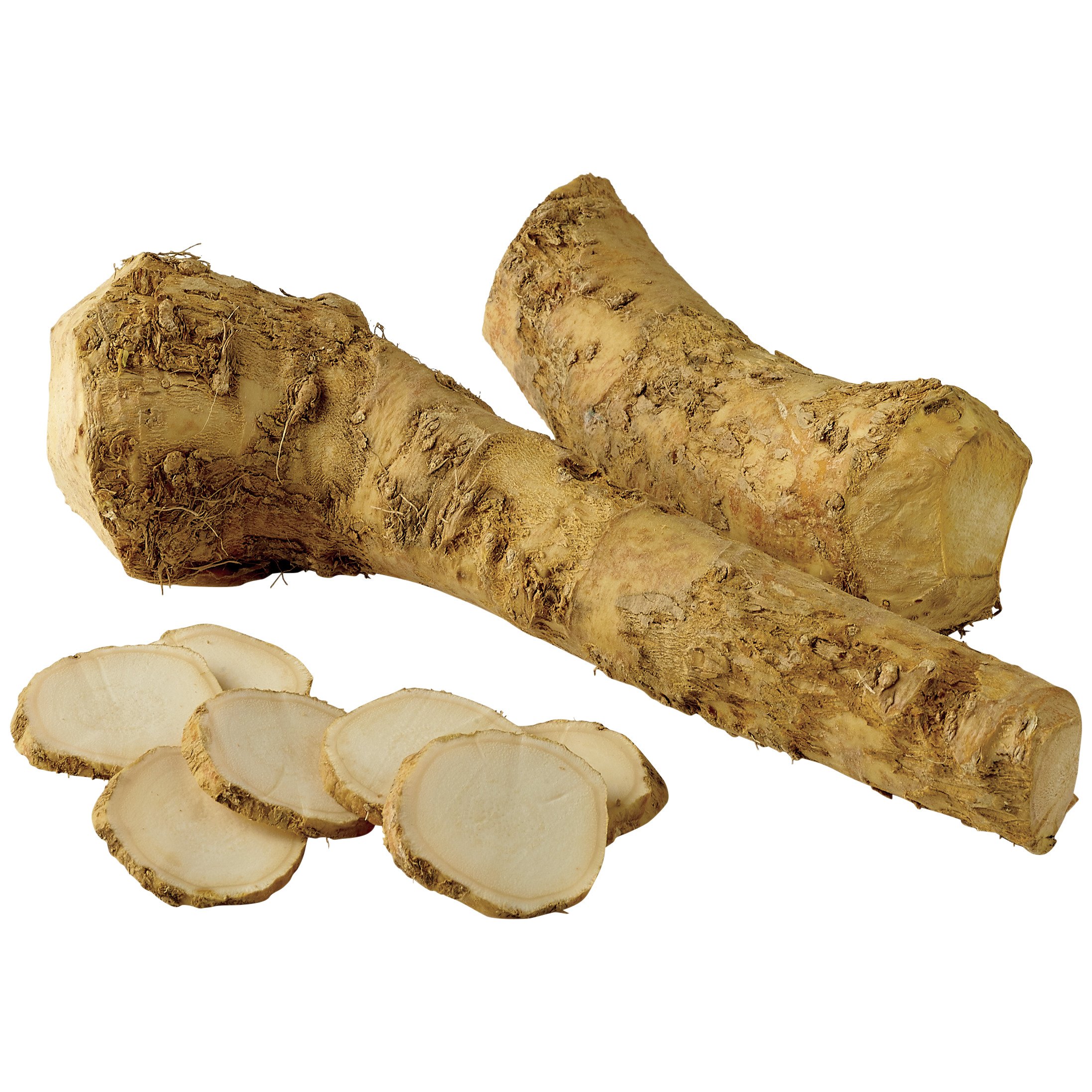 Detail Pictures Of Horseradish Root Nomer 6