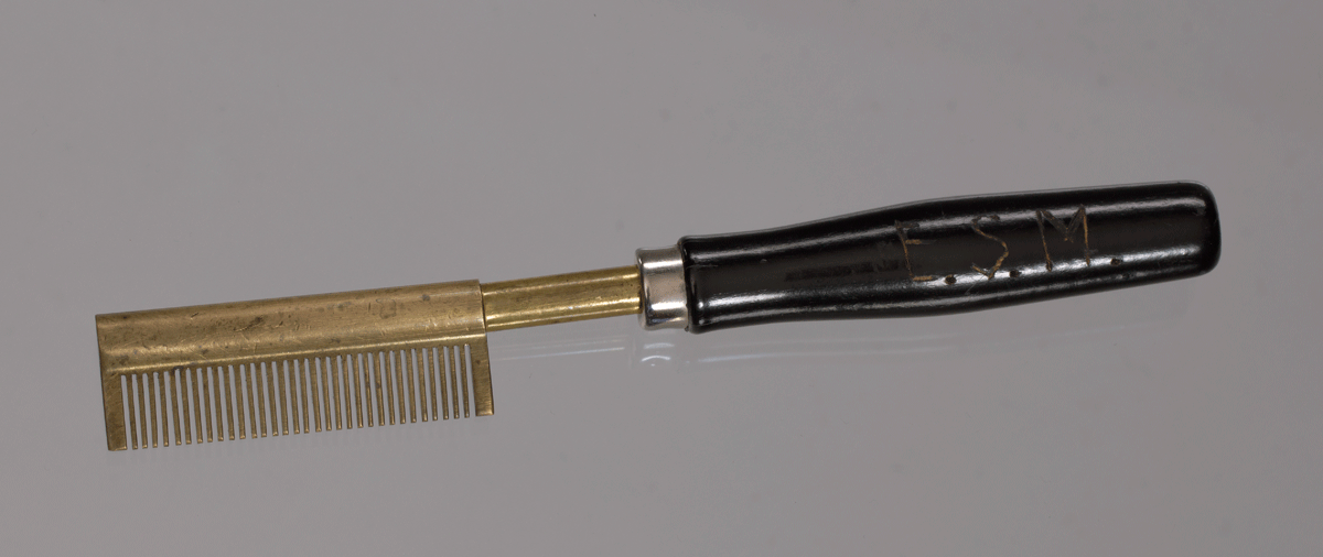 Detail Pictures Of Hot Combs Nomer 3