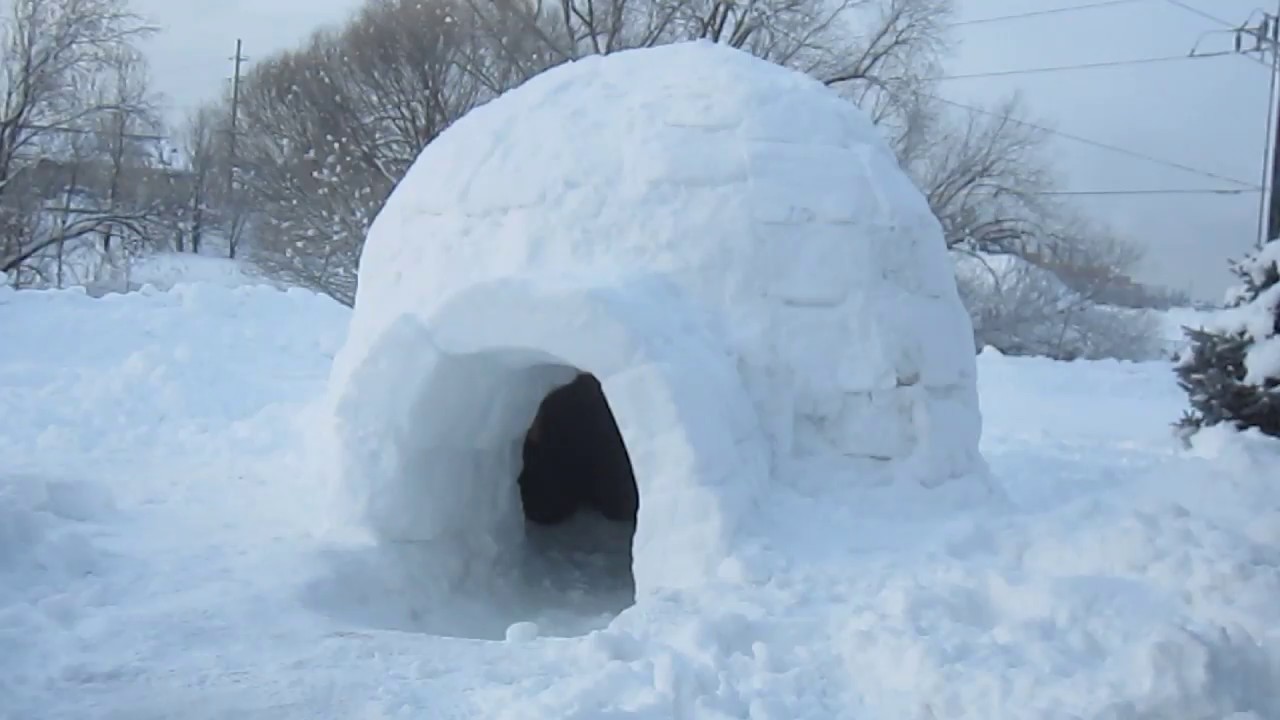 Detail Pictures Of Igloo Nomer 29