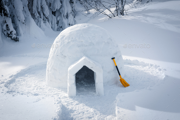 Detail Pictures Of Igloo House Nomer 17