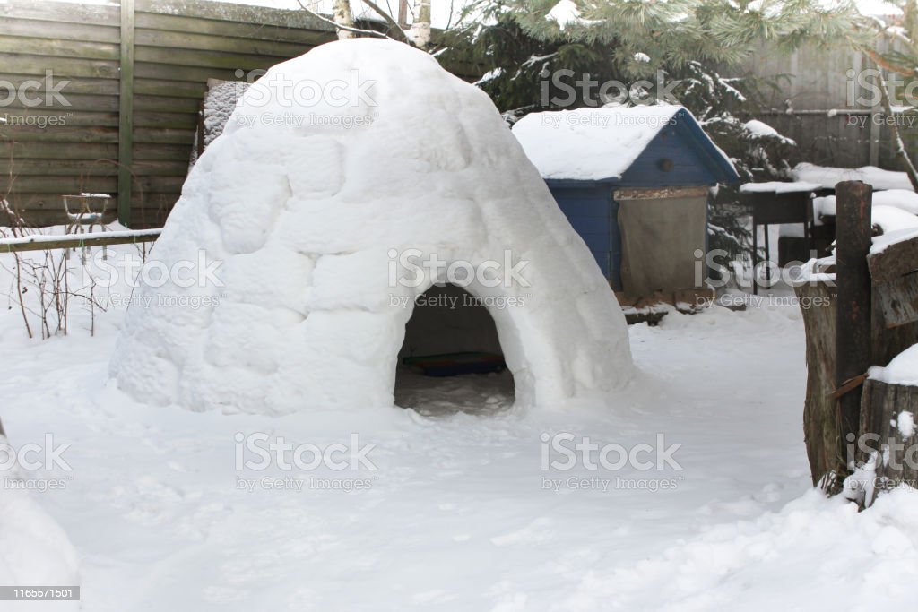 Detail Pictures Of Igloo House Nomer 28