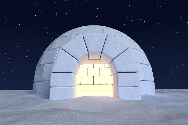 Detail Pictures Of Igloo House Nomer 49