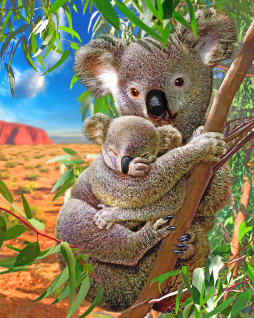 Detail Pictures Of Koala Bears Nomer 42