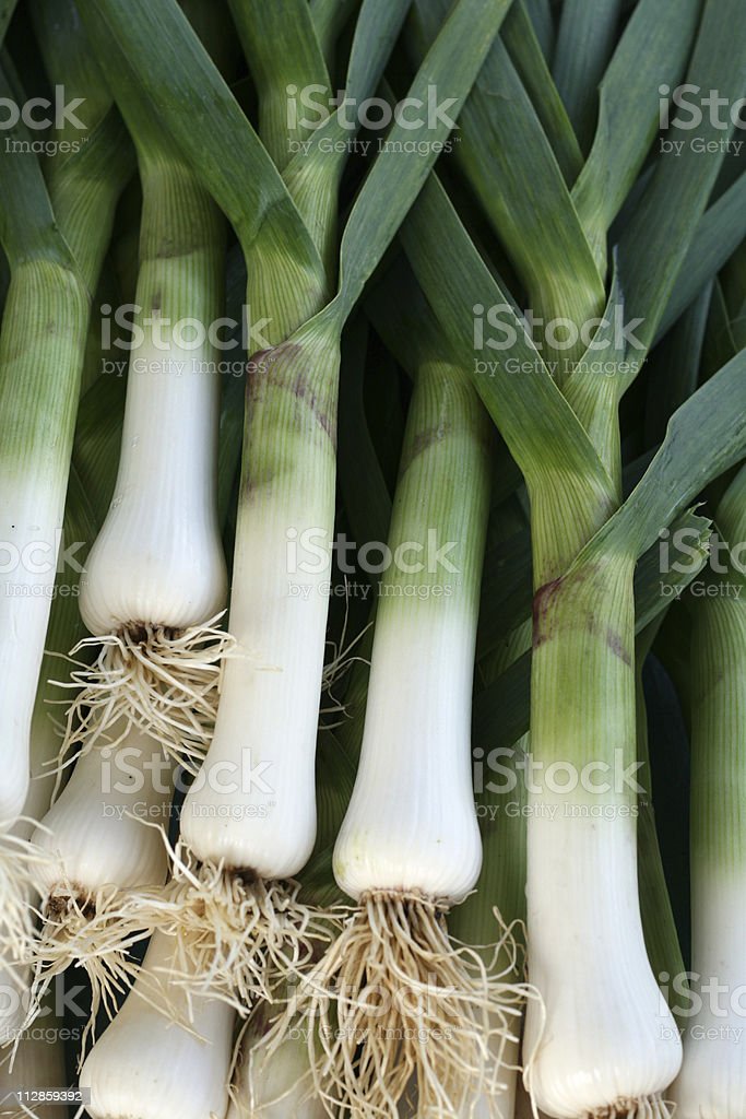 Detail Pictures Of Leeks Vegetable Nomer 28