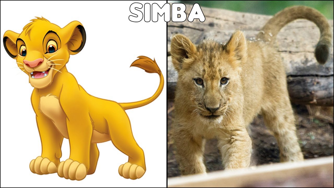 Detail Pictures Of Lion King Characters Nomer 25