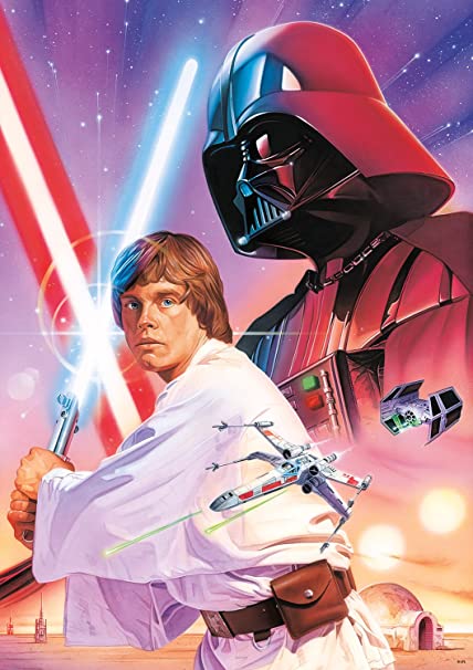 Detail Pictures Of Luke Skywalker And Darth Vader Nomer 5