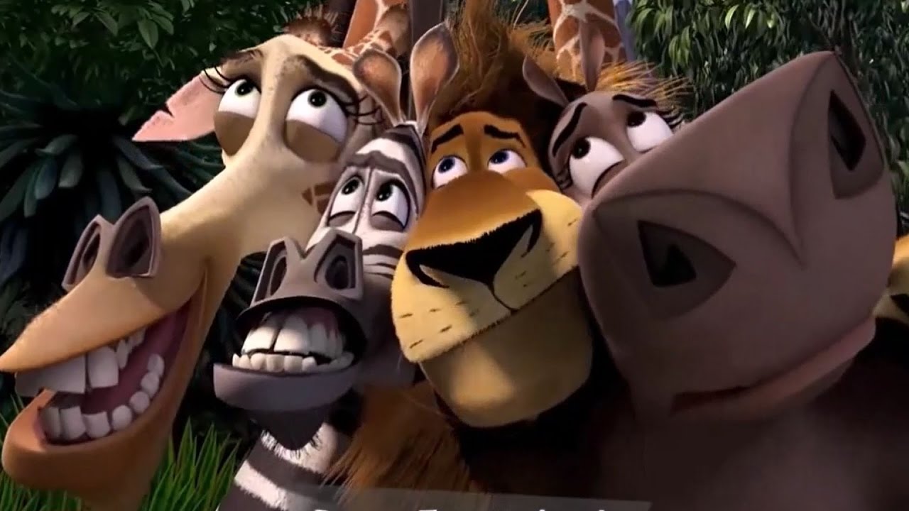 Detail Pictures Of Madagascar Movie Nomer 40