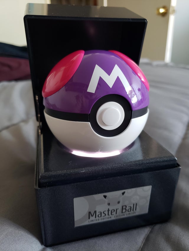 Detail Pictures Of Master Balls Nomer 36