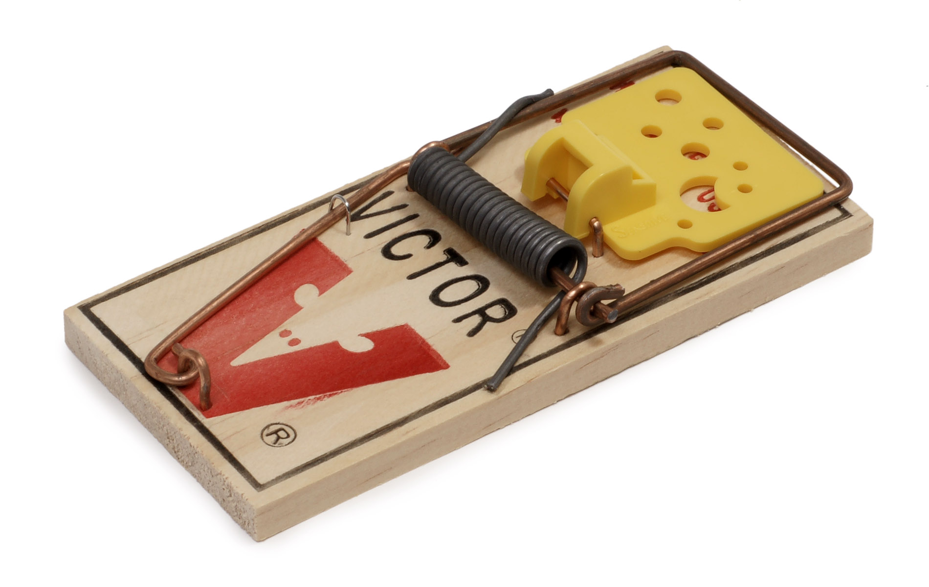 Detail Pictures Of Mouse Traps Nomer 3