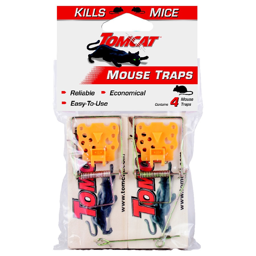 Detail Pictures Of Mouse Traps Nomer 19