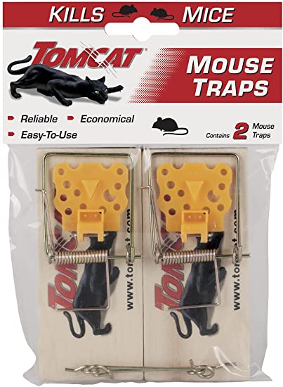 Detail Pictures Of Mouse Traps Nomer 25