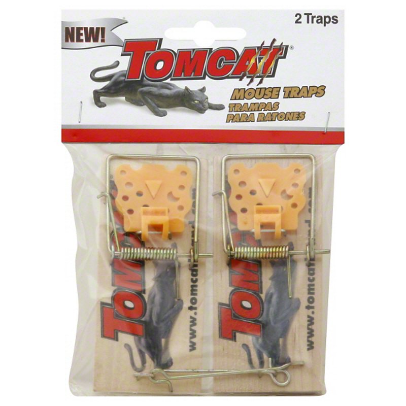 Detail Pictures Of Mouse Traps Nomer 37