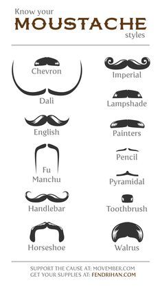 Detail Pictures Of Moustaches Nomer 36