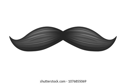Detail Pictures Of Moustaches Nomer 7